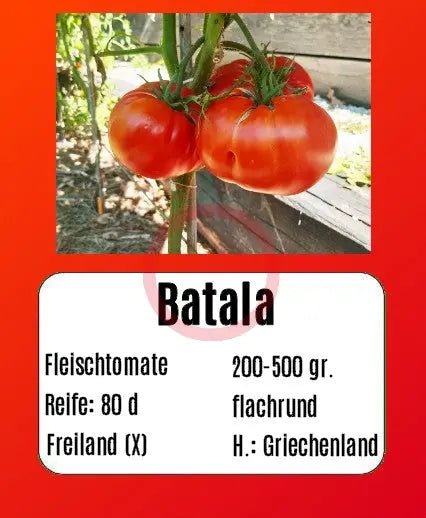 Batala DER TOMATENFLÜSTERER