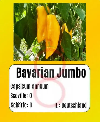 Bavarian Jumbo DER TOMATENFLÜSTERER