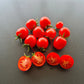 Baxter´s Early Bush Cherry DER TOMATENFLÜSTERER