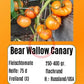 Bear Wallow Canary DER TOMATENFLÜSTERER