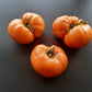 Bear Wallow Canary DER TOMATENFLÜSTERER