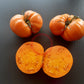 Bear Wallow Canary DER TOMATENFLÜSTERER