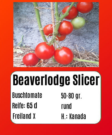 Beaverlodge Slicer DER TOMATENFLÜSTERER