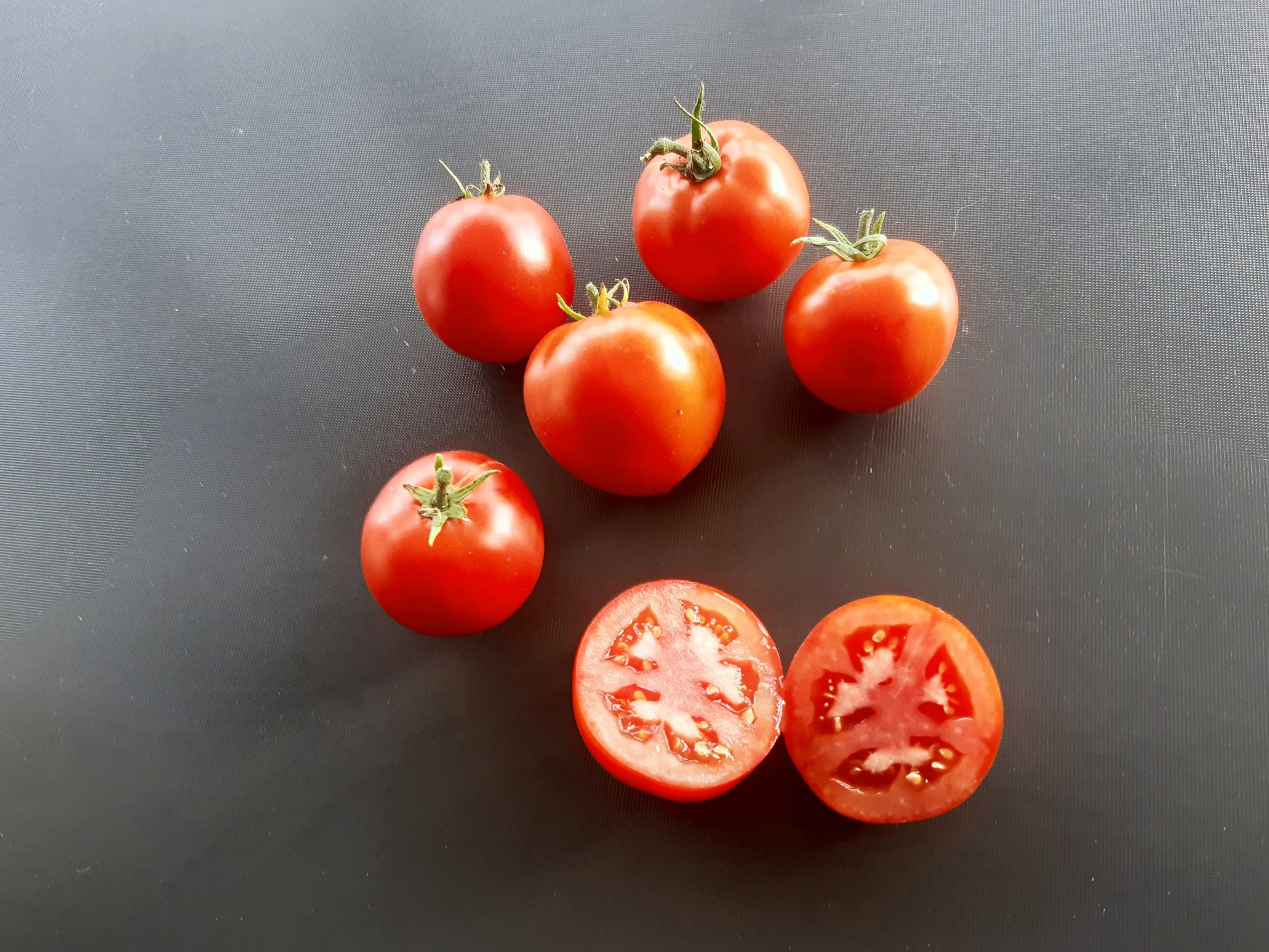 Beaverlodge Slicer DER TOMATENFLÜSTERER