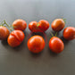 Bedouin DER TOMATENFLÜSTERER