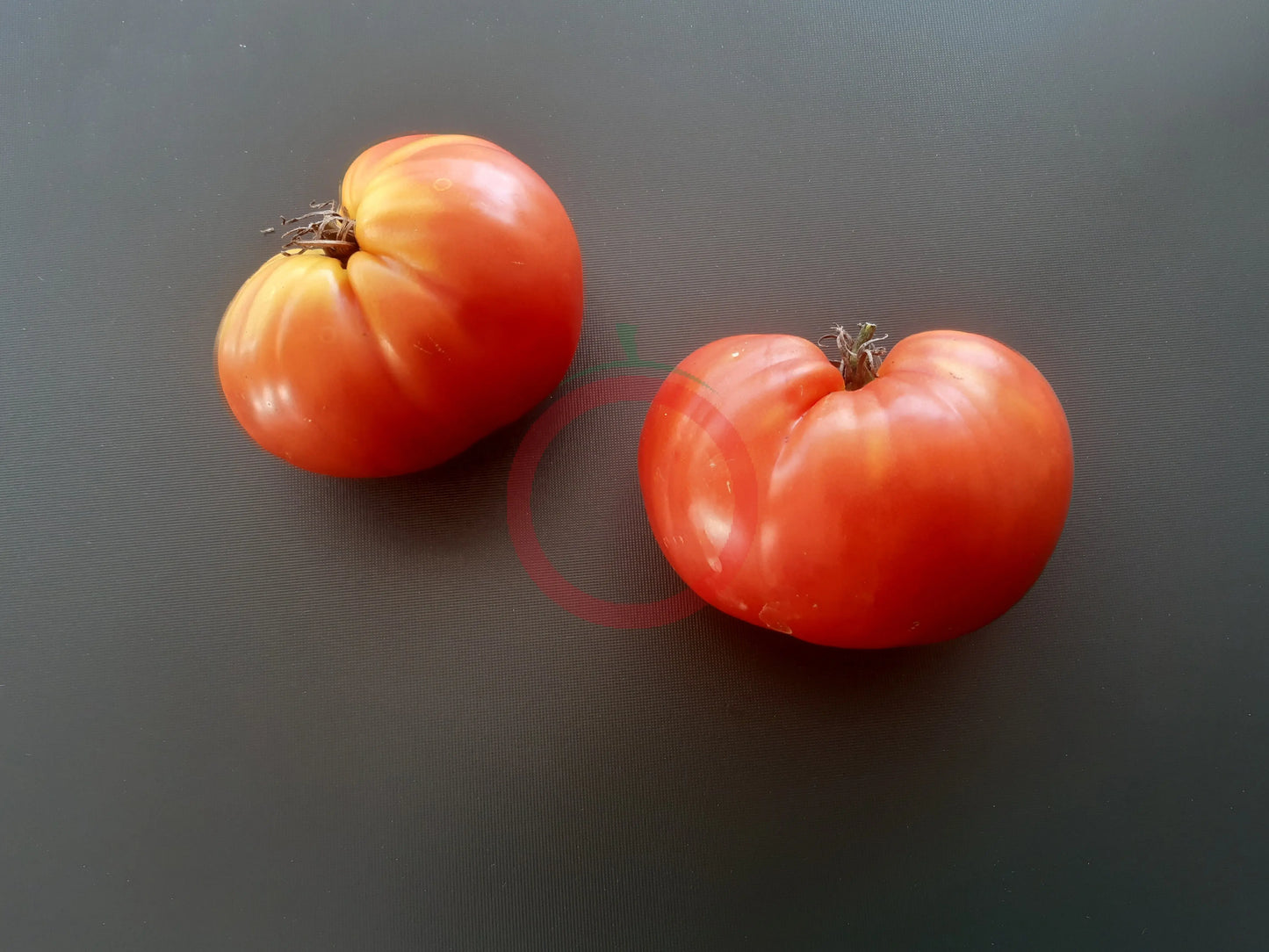 Belarusian Heart DER TOMATENFLÜSTERER