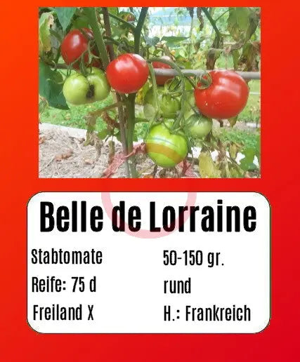 Belle de Lorraine DER TOMATENFLÜSTERER