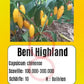 Beni Highland DER TOMATENFLÜSTERER