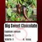 Big Sweet Chocolate DER TOMATENFLÜSTERER