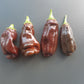 Big Sweet Chocolate DER TOMATENFLÜSTERER
