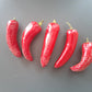 Biker´s Bill Jalapeno DER TOMATENFLÜSTERER