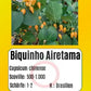 Biquinho Airetama DER TOMATENFLÜSTERER