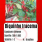 Biquinho Iracema DER TOMATENFLÜSTERER