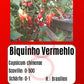 Biquinho Vermehlo DER TOMATENFLÜSTERER