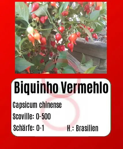 Biquinho Vermehlo DER TOMATENFLÜSTERER
