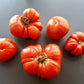 Bistecca Duri DER TOMATENFLÜSTERER