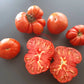 Bistecca Duri DER TOMATENFLÜSTERER