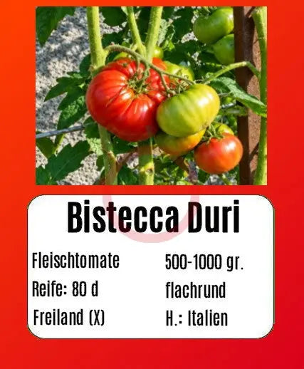 Bistecca Duri DER TOMATENFLÜSTERER