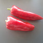 Bitola DER TOMATENFLÜSTERER