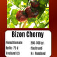 Bizon Chorny DER TOMATENFLÜSTERER