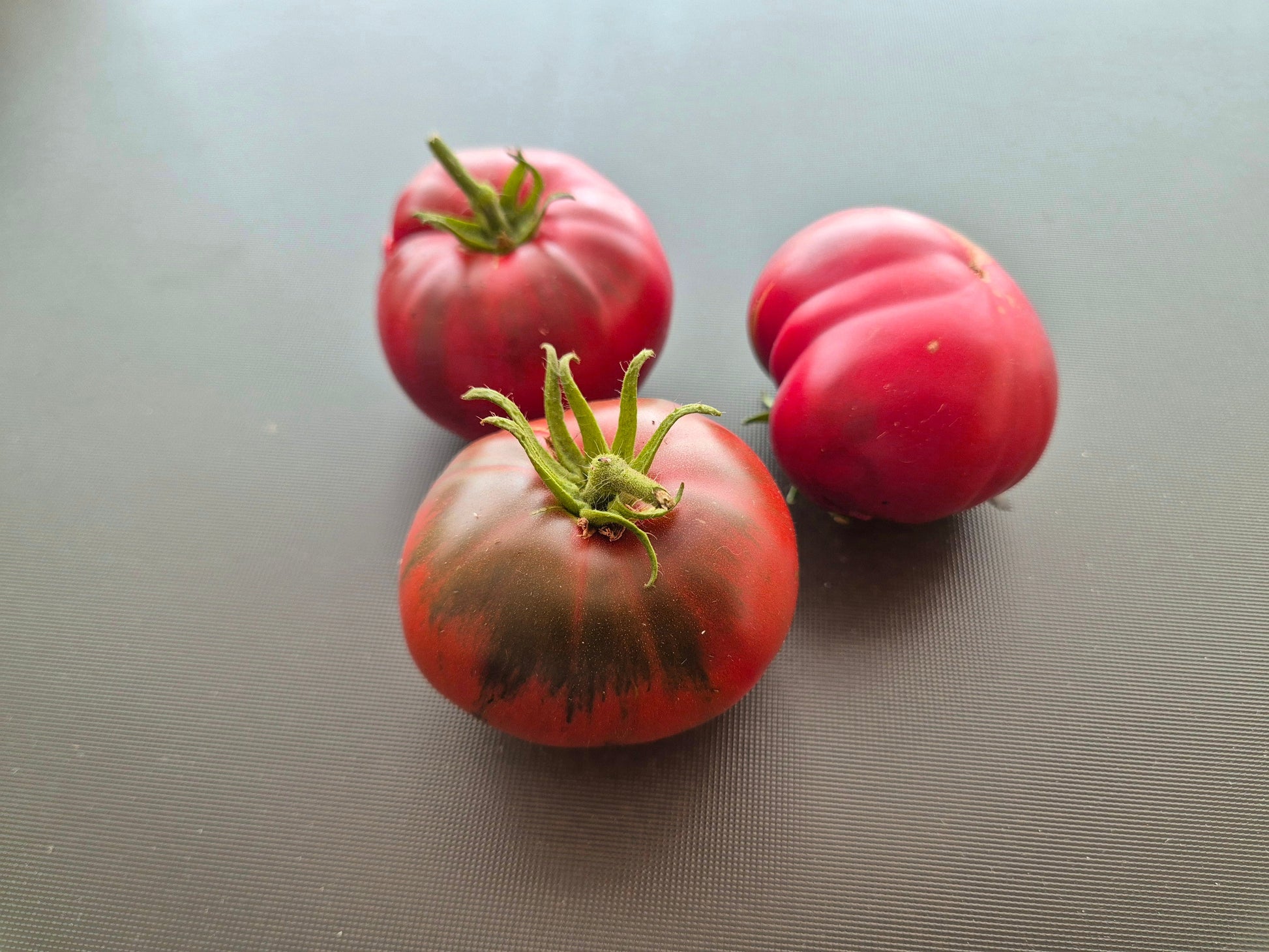 Bizon Chorny DER TOMATENFLÜSTERER