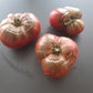 Black Elephant DER TOMATENFLÜSTERER
