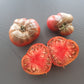 Black Elephant DER TOMATENFLÜSTERER
