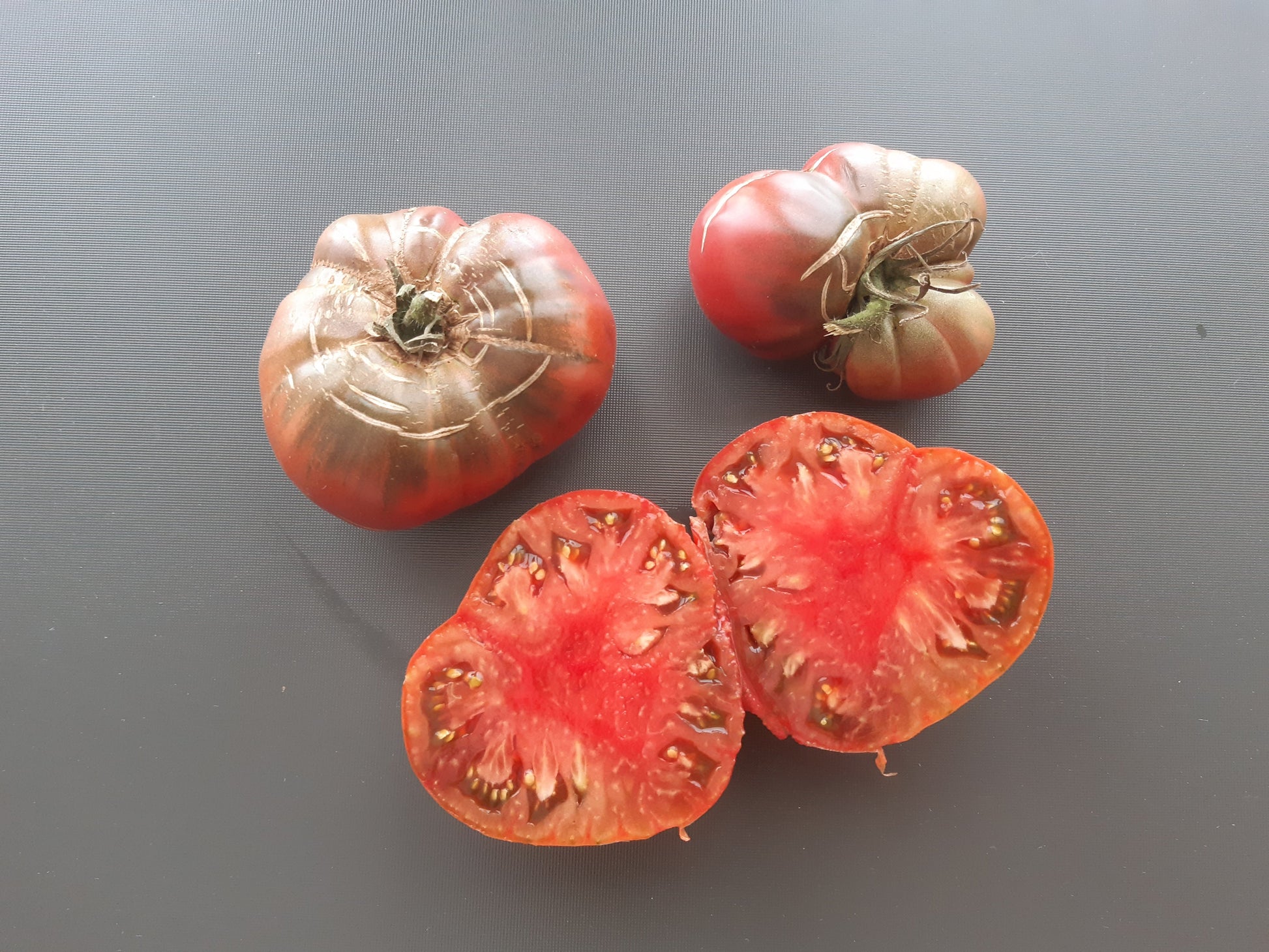 Black Elephant DER TOMATENFLÜSTERER