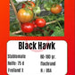 Black Hawk DER TOMATENFLÜSTERER