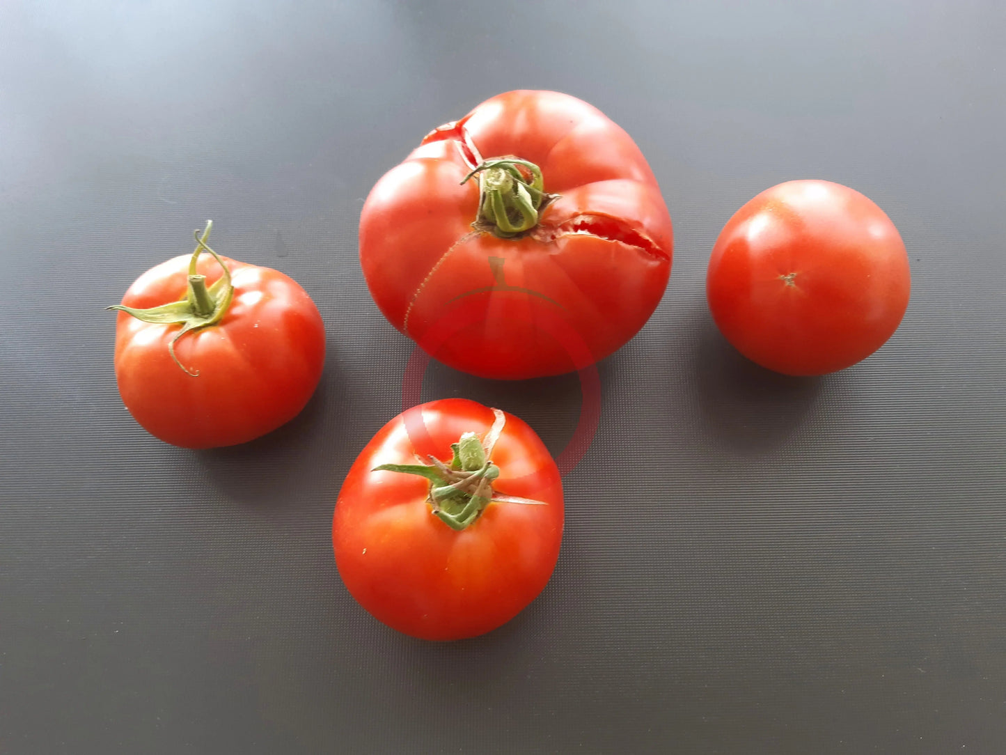 Black Hawk DER TOMATENFLÜSTERER