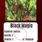 Black Magic DER TOMATENFLÜSTERER