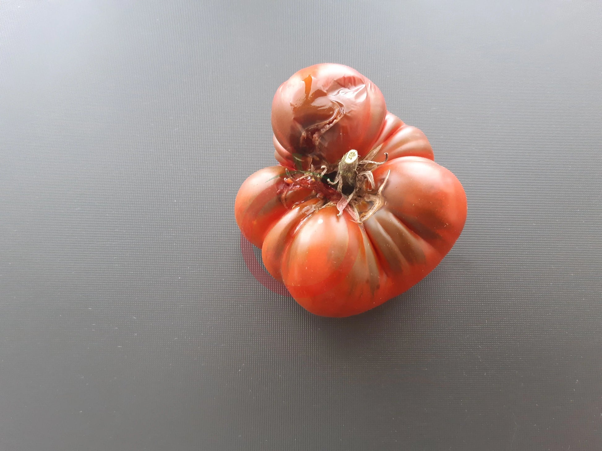 Black Mammoth DER TOMATENFLÜSTERER