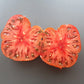 Black Mammoth DER TOMATENFLÜSTERER