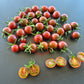 Black Opal DER TOMATENFLÜSTERER
