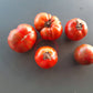 Black Zebra DER TOMATENFLÜSTERER