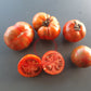 Black Zebra DER TOMATENFLÜSTERER