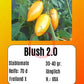 Blush 2.0 DER TOMATENFLÜSTERER