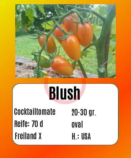 Blush DER TOMATENFLÜSTERER
