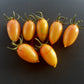 Blush DER TOMATENFLÜSTERER
