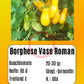 Borghese Vase Roman DER TOMATENFLÜSTERER