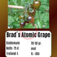 Brads Atomic Grape DER TOMATENFLÜSTERER