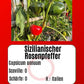 Buffalo Red (Kopie) DER TOMATENFLÜSTERER