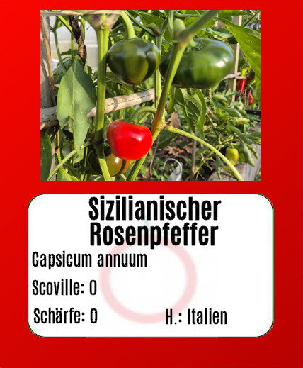 Buffalo Red (Kopie) DER TOMATENFLÜSTERER
