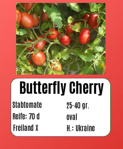 Butterfly Cherry DER TOMATENFLÜSTERER