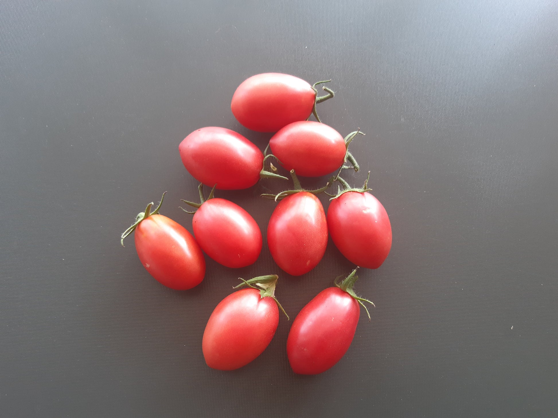 Butterfly Cherry DER TOMATENFLÜSTERER