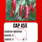 CAP 455 DER TOMATENFLÜSTERER