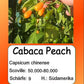 Cabaca Peach DER TOMATENFLÜSTERER