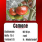 Camone DER TOMATENFLÜSTERER