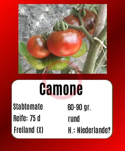 Camone DER TOMATENFLÜSTERER