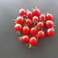 Canneberge Sucreé DER TOMATENFLÜSTERER